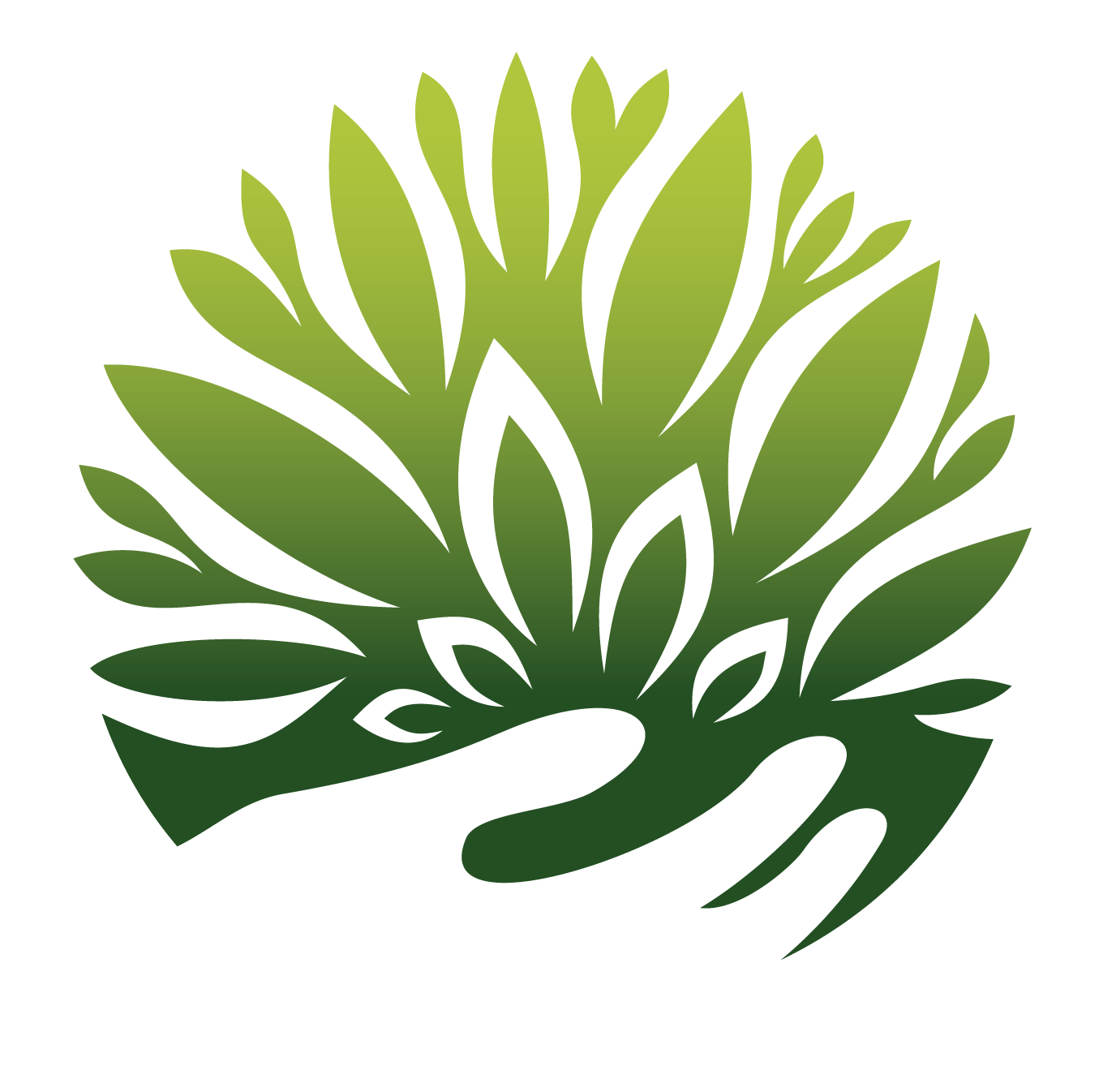 Perlgrün Logo